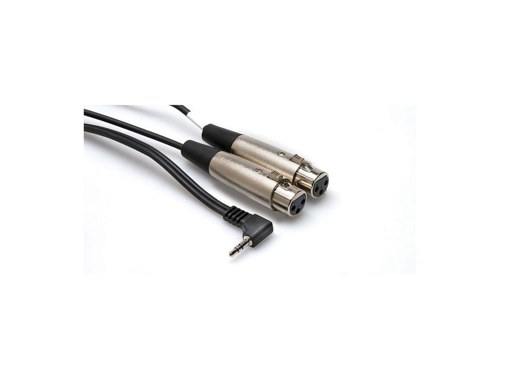 Hosa CYX-402F Dual Female XLR to 3.5mm 1/8" Stereo TRS Cable, 2 Ft